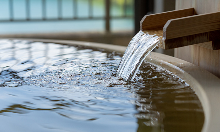 東園客室 水円