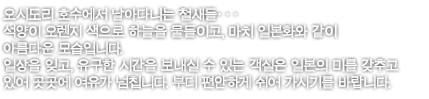 오시도리 호수에서 날아다니는 철새들・・・석양이 오렌지 색으로 하늘을 물들이고, 마치 일본화와 같이 아름다운 모습입니다. 일상을 잊고, 유구한 시간을 보내실 수 있는 객실은 일본의 미를 갖추고 있어 곳곳에 여유가 넘칩니다. 부디 편안하게 쉬어 가시기를 바랍니다.