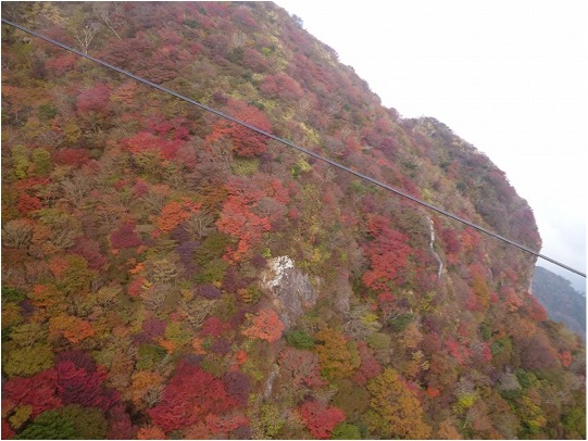 紅葉が見頃です。