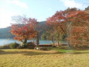 紅葉１DSCN7668_R