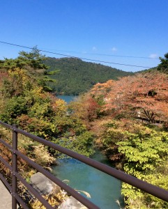 おしどりの池を散歩