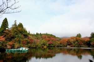 白雲の池①