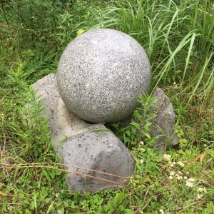 円石